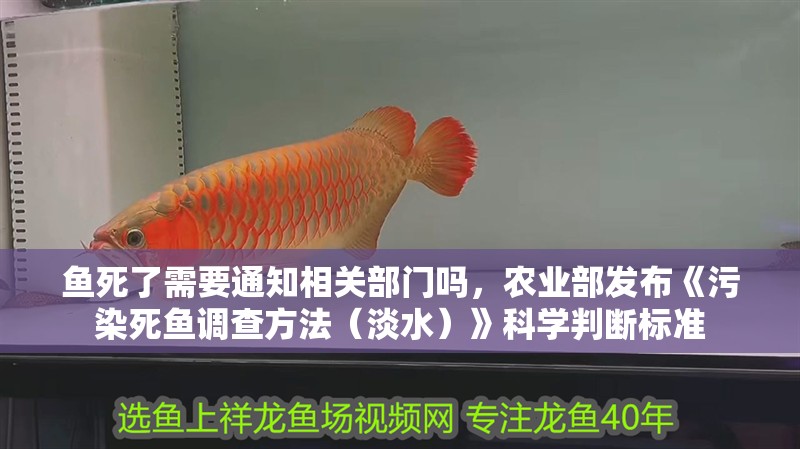 魚死了需要通知相關部門嗎，農業部發布《污染死魚調查方法（淡水）》科學判斷標準