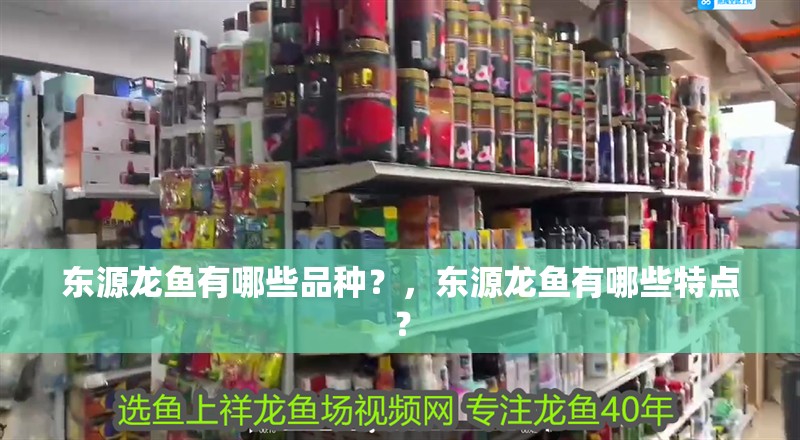 東源龍魚有哪些品種？，東源龍魚有哪些特點？