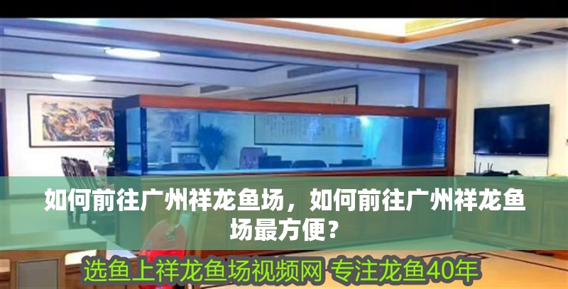 如何前往廣州祥龍魚場，如何前往廣州祥龍魚場最方便？
