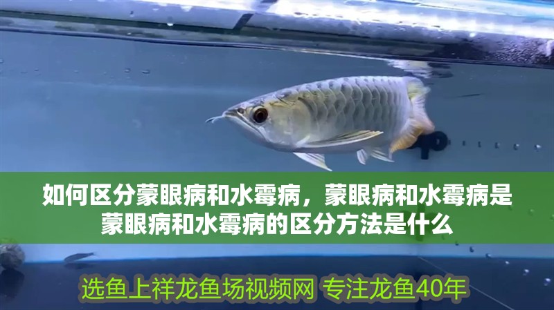 如何區分蒙眼病和水霉病，蒙眼病和水霉病是蒙眼病和水霉病的區分方法是什么