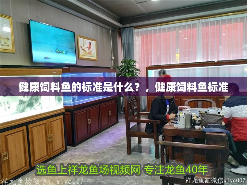 健康飼料魚的標準是什么？，健康飼料魚標準
