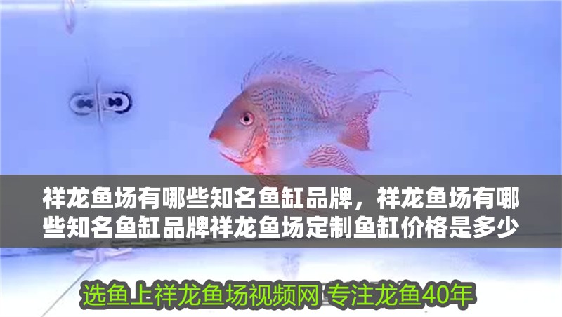 祥龍魚場有哪些知名魚缸品牌，祥龍魚場有哪些知名魚缸品牌祥龍魚場定制魚缸價格是多少