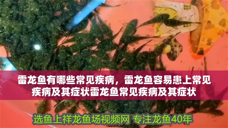 雷龍魚有哪些常見疾病，雷龍魚容易患上常見疾病及其癥狀雷龍魚常見疾病及其癥狀