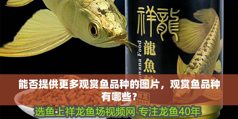能否提供更多觀賞魚品種的圖片，觀賞魚品種有哪些？