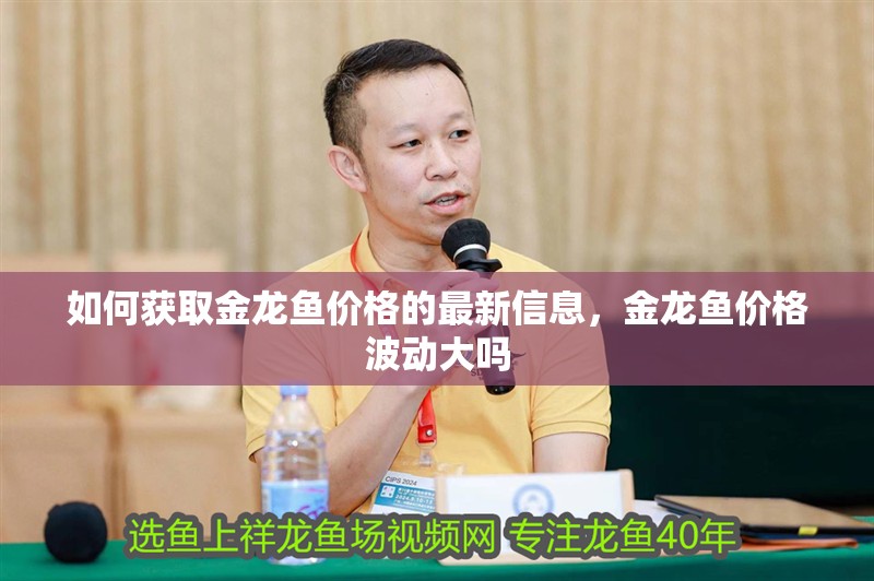 如何獲取金龍魚價格的最新信息，金龍魚價格波動大嗎