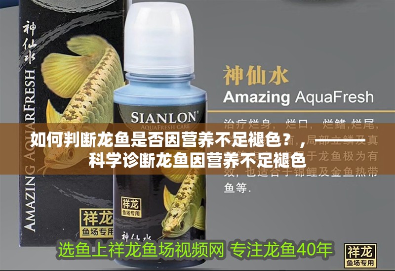 如何判斷龍魚是否因營養(yǎng)不足褪色？，———科學(xué)診斷龍魚因營養(yǎng)不足褪色