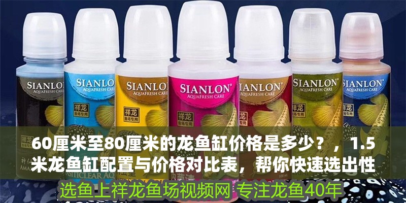 60厘米至80厘米的龍魚缸價(jià)格是多少？，1.5米龍魚缸配置與價(jià)格對比表，幫你快速選出性價(jià)比最高的型號