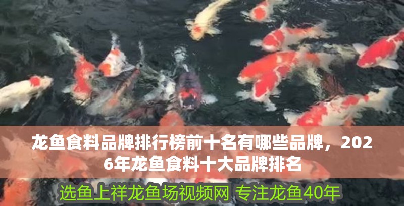 龍魚食料品牌排行榜前十名有哪些品牌，2026年龍魚食料十大品牌排名