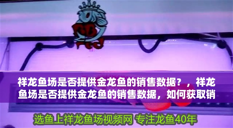 祥龍魚場是否提供金龍魚的銷售數據？，祥龍魚場是否提供金龍魚的銷售數據，如何獲取銷售數據