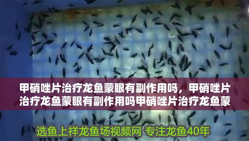 甲硝唑片治療龍魚蒙眼有副作用嗎，甲硝唑片治療龍魚蒙眼有副作用嗎甲硝唑片治療龍魚蒙眼多久見效