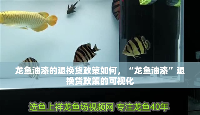 龍魚油漆的退換貨政策如何，“龍魚油漆”退換貨政策的可視化