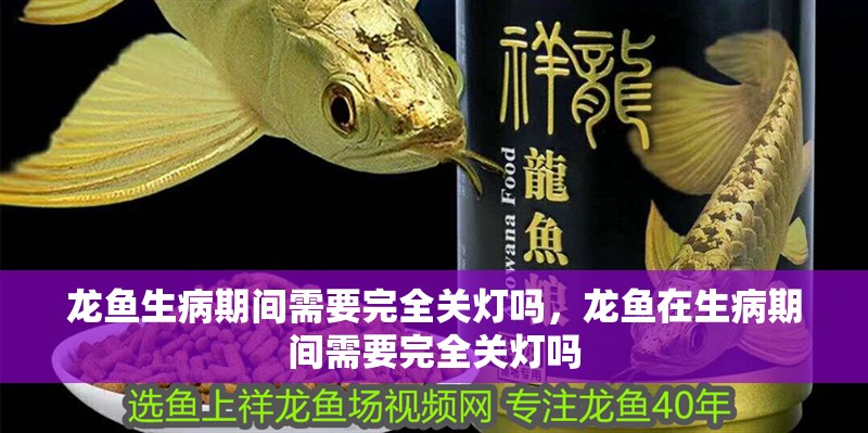 龍魚生病期間需要完全關(guān)燈嗎，龍魚在生病期間需要完全關(guān)燈嗎