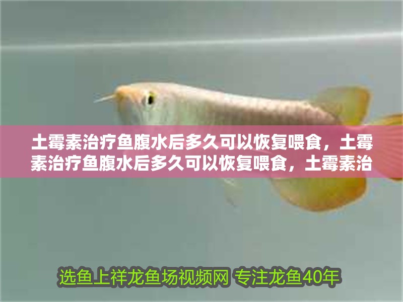 土霉素治療魚腹水后多久可以恢復喂食，土霉素治療魚腹水后多久可以恢復喂食，土霉素治療期間需要斷食嗎