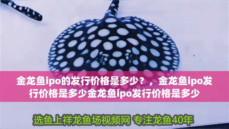 金龍魚ipo的發行價格是多少？，金龍魚ipo發行價格是多少金龍魚ipo發行價格是多少
