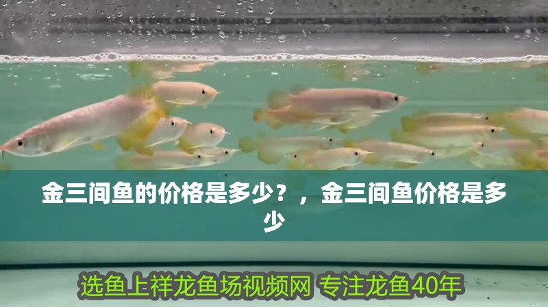 魯花集團與金龍魚的合作歷史，金龍魚與魯花集團的合作歷史