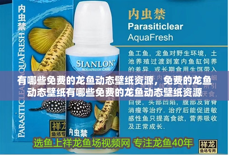 有哪些免費的龍魚動態壁紙資源，免費的龍魚動態壁紙有哪些免費的龍魚動態壁紙資源