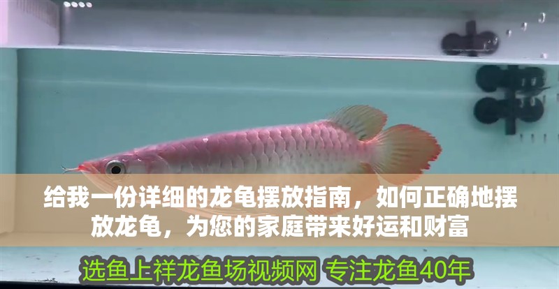 給我一份詳細的龍龜擺放指南，如何正確地擺放龍龜，為您的家庭帶來好運和財富