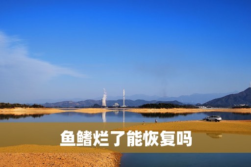 魚鰭爛了能恢復嗎