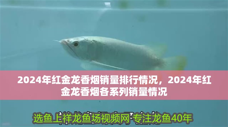 2024年紅金龍香煙銷量排行情況，2024年紅金龍香煙各系列銷量情況