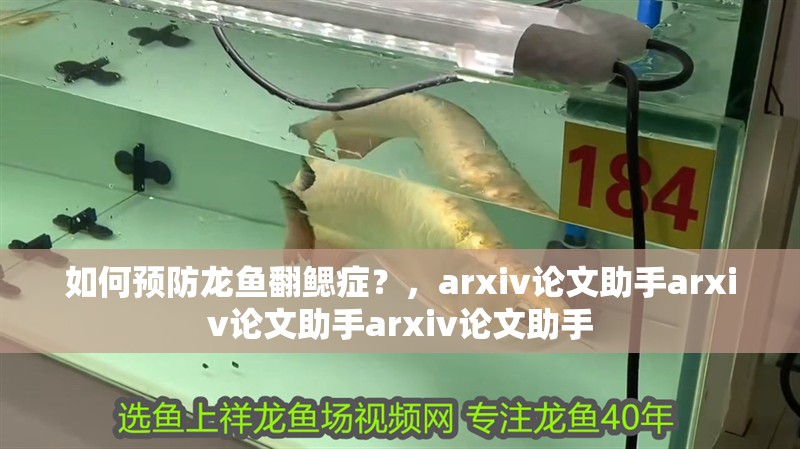 如何預防龍魚翻鰓癥？，arxiv論文助手arxiv論文助手arxiv論文助手