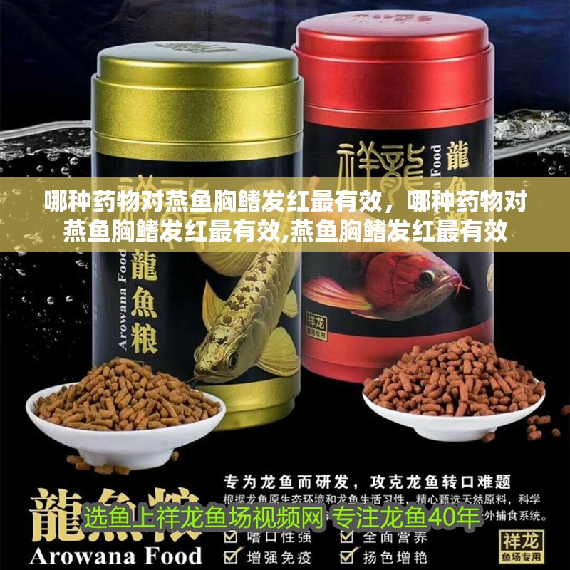 哪種藥物對燕魚胸鰭發紅最有效，哪種藥物對燕魚胸鰭發紅最有效,燕魚胸鰭發紅最有效