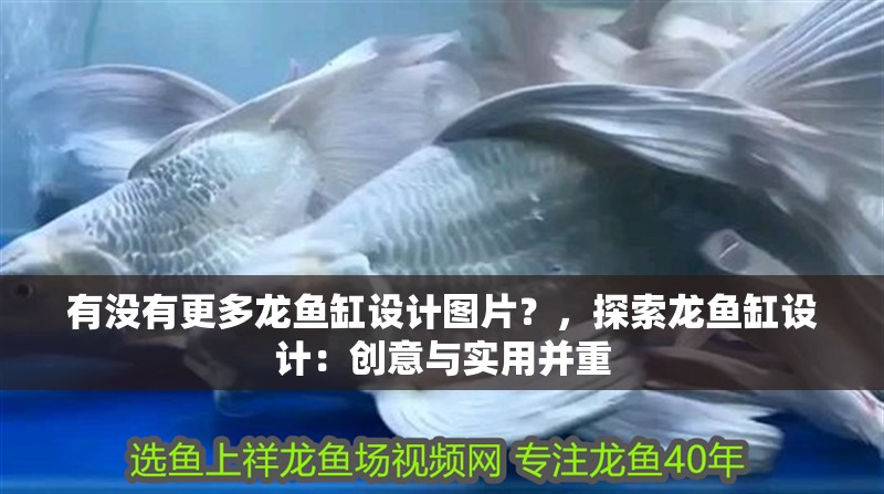 有沒有更多龍魚缸設計圖片？，探索龍魚缸設計：創意與實用并重