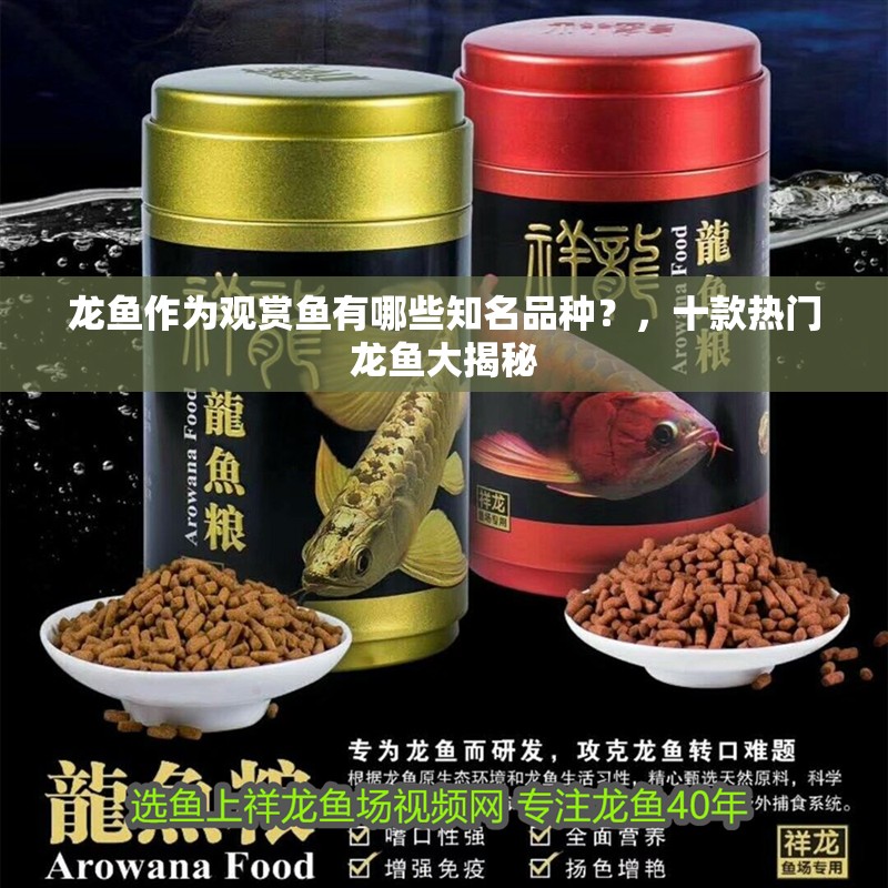 龍魚作為觀賞魚有哪些知名品種？，十款熱門龍魚大揭秘