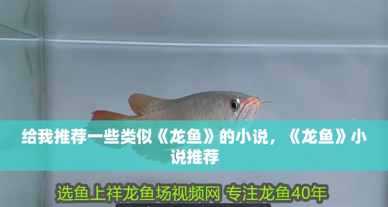 給我推薦一些類似《龍魚》的小說(shuō)，《龍魚》小說(shuō)推薦