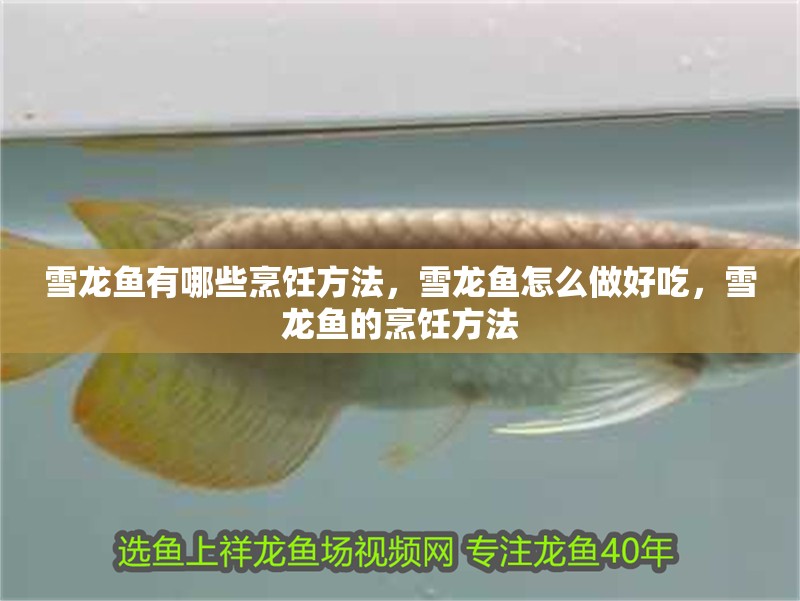 雪龍魚有哪些烹飪方法，雪龍魚怎么做好吃，雪龍魚的烹飪方法