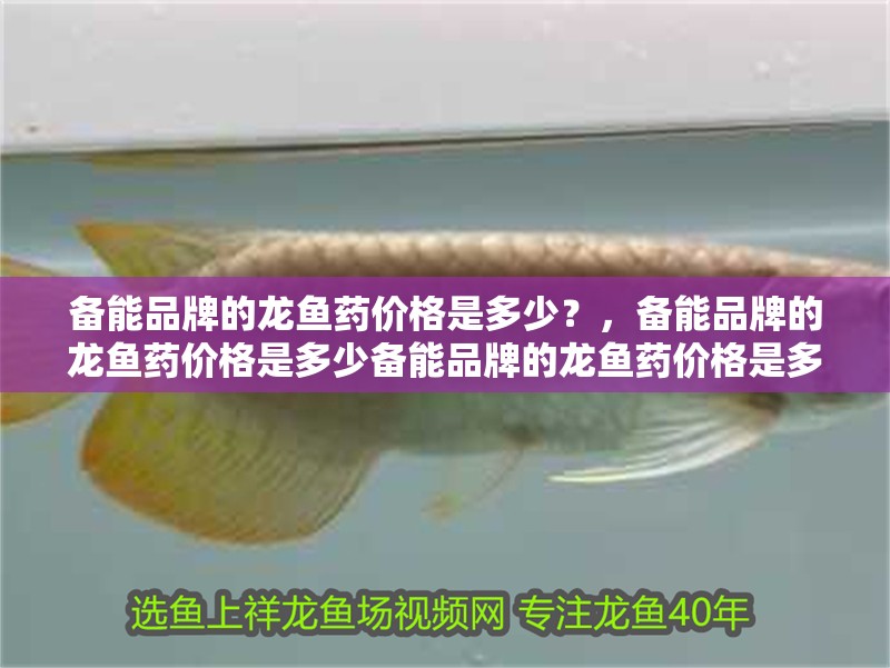 備能品牌的龍魚藥價格是多少？，備能品牌的龍魚藥價格是多少備能品牌的龍魚藥價格是多少