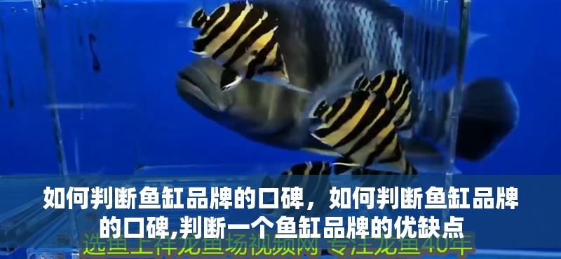 如何判斷魚缸品牌的口碑，如何判斷魚缸品牌的口碑,判斷一個魚缸品牌的優(yōu)缺點