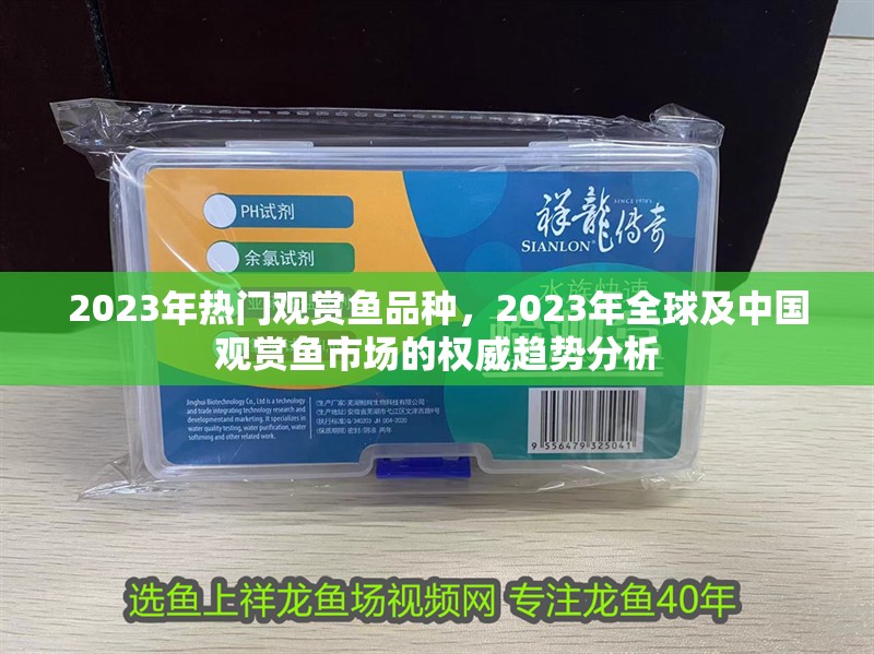 2023年熱門觀賞魚品種，2023年全球及中國觀賞魚市場的權威趨勢分析