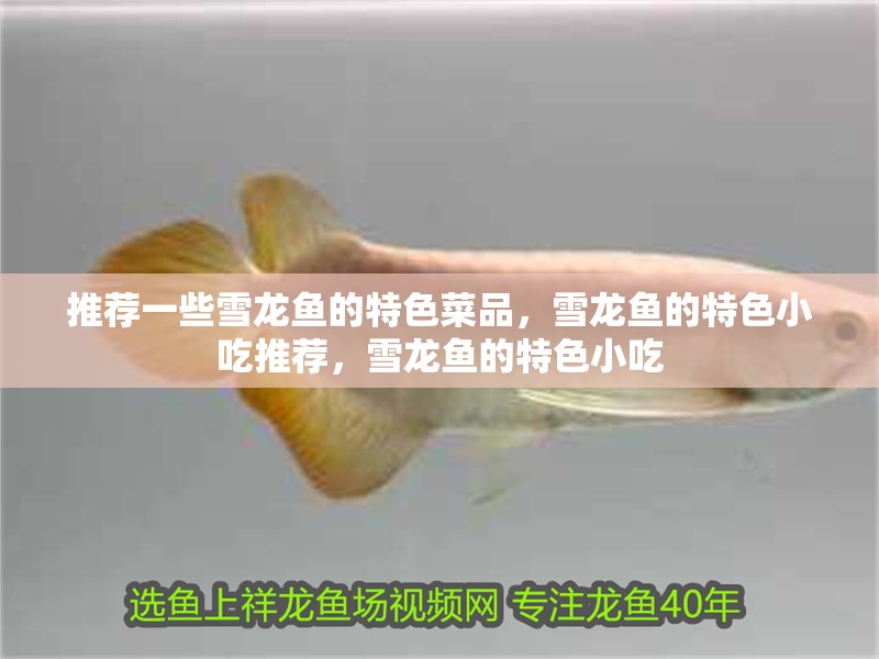 推薦一些雪龍魚的特色菜品，雪龍魚的特色小吃推薦，雪龍魚的特色小吃