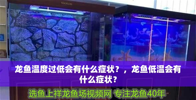 龍魚溫度過低會有什么癥狀？，龍魚低溫會有什么癥狀？