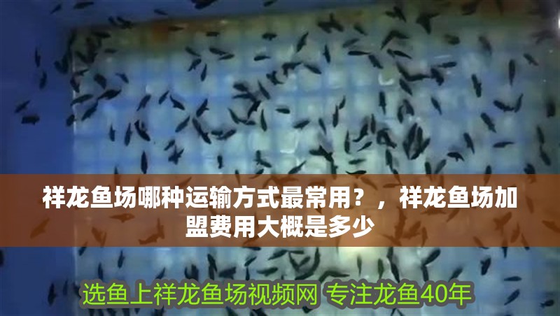 祥龍魚場哪種運輸方式最常用？，祥龍魚場加盟費用大概是多少