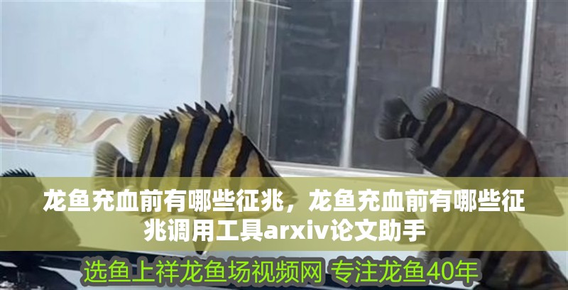 龍魚充血前有哪些征兆，龍魚充血前有哪些征兆調(diào)用工具arxiv論文助手