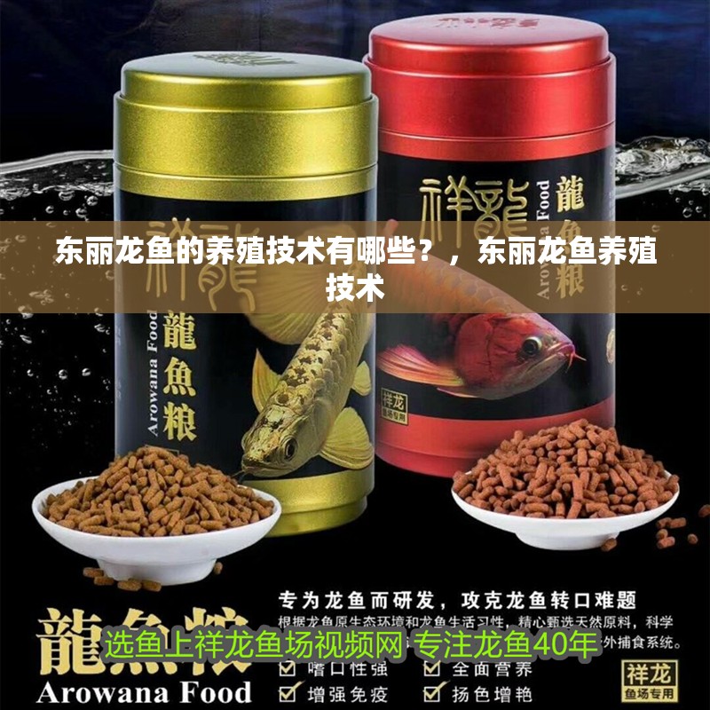 東麗龍魚的養殖技術有哪些？，東麗龍魚養殖技術