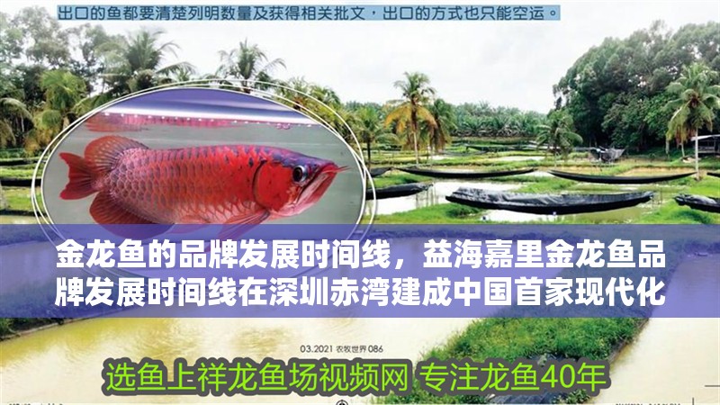 金龍魚的品牌發(fā)展時間線，益海嘉里金龍魚品牌發(fā)展時間線在深圳赤灣建成中國首家現(xiàn)代化食用油