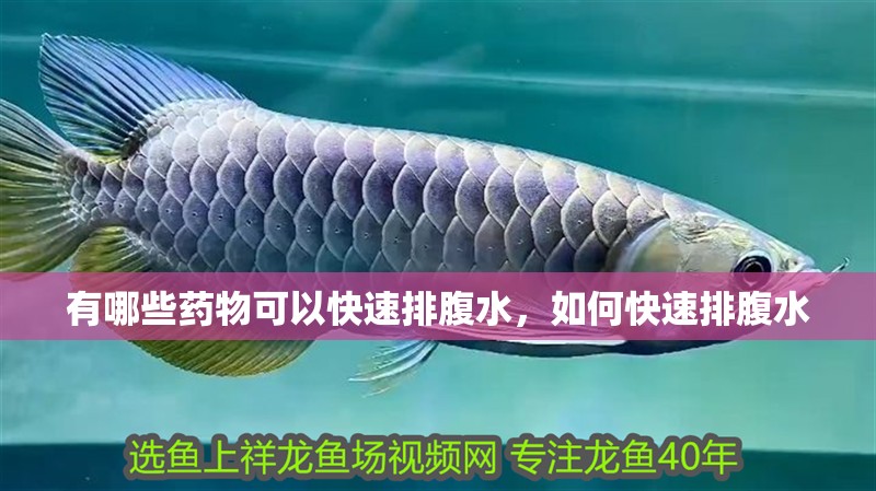 有哪些藥物可以快速排腹水，如何快速排腹水