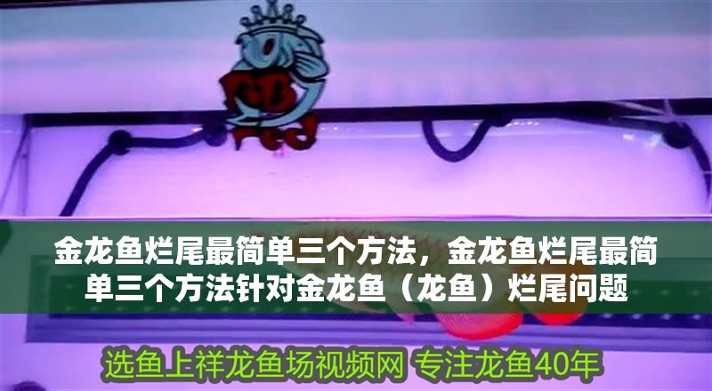 金龍魚爛尾最簡單三個方法，金龍魚爛尾最簡單三個方法針對金龍魚（龍魚）爛尾問題