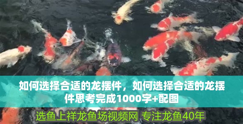 如何選擇合適的龍擺件，如何選擇合適的龍擺件思考完成1000字+配圖