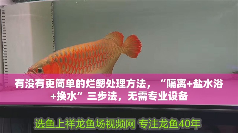 有沒有更簡單的爛鰓處理方法，“隔離+鹽水浴+換水”三步法，無需專業(yè)設備