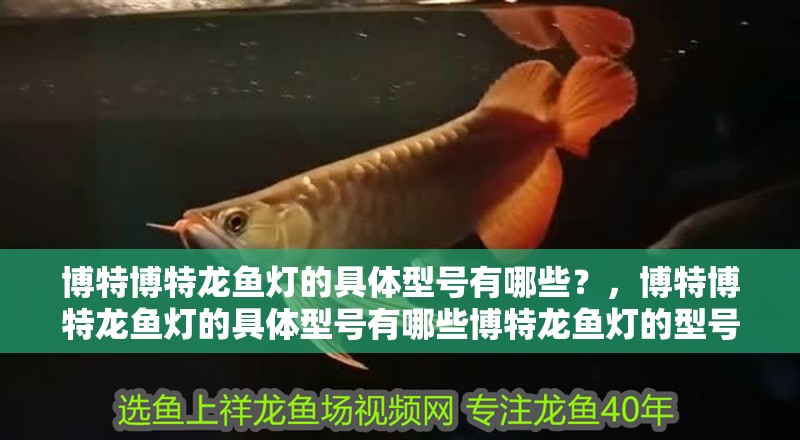 博特博特龍魚燈的具體型號有哪些？，博特博特龍魚燈的具體型號有哪些博特龍魚燈的型號