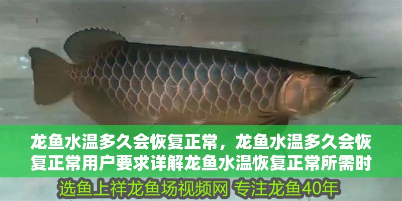龍魚水溫多久會(huì)恢復(fù)正常，龍魚水溫多久會(huì)恢復(fù)正常用戶要求詳解龍魚水溫恢復(fù)正常所需時(shí)間