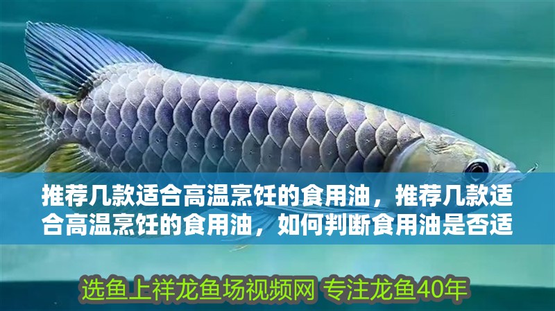 推薦幾款適合高溫烹飪的食用油，推薦幾款適合高溫烹飪的食用油，如何判斷食用油是否適合高溫烹飪