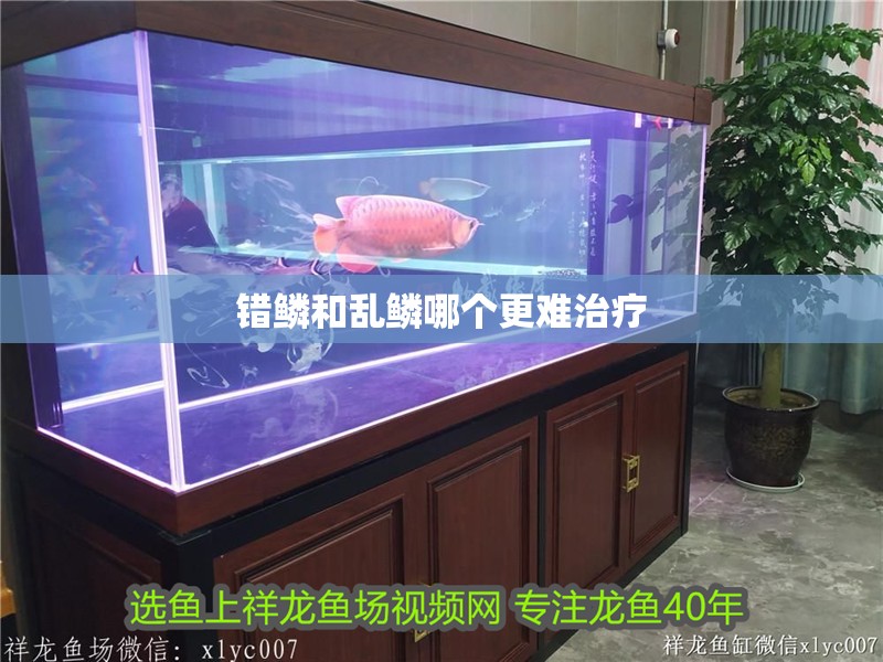 錯鱗和亂鱗哪個更難治療