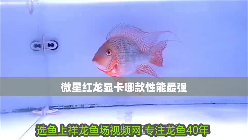 微星紅龍顯卡哪款性能最強