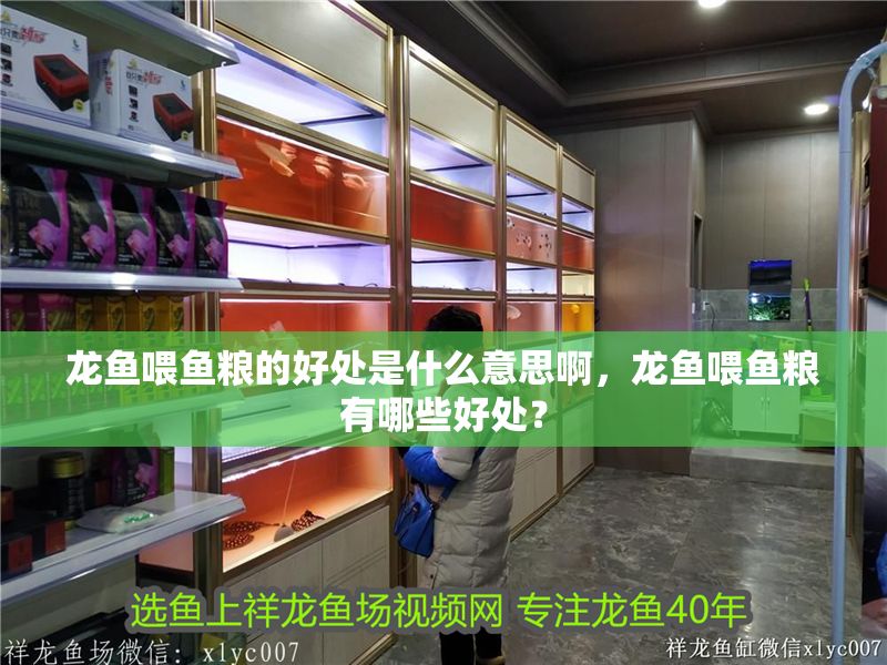 龍魚喂魚糧的好處是什么意思啊，龍魚喂魚糧有哪些好處？