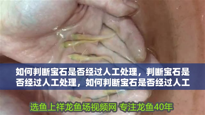 如何判斷寶石是否經過人工處理，判斷寶石是否經過人工處理，如何判斷寶石是否經過人工處理