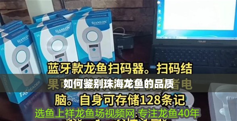 如何鑒別珠海龍魚的品質(zhì)